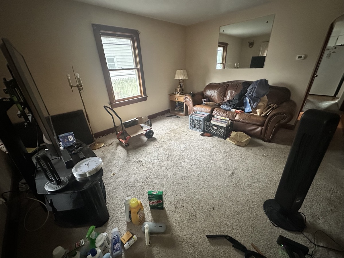 Junk removal project