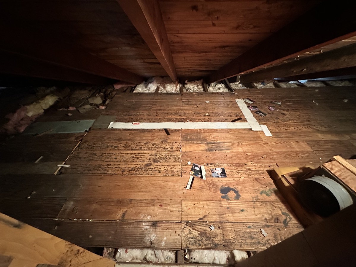 Junk removal project