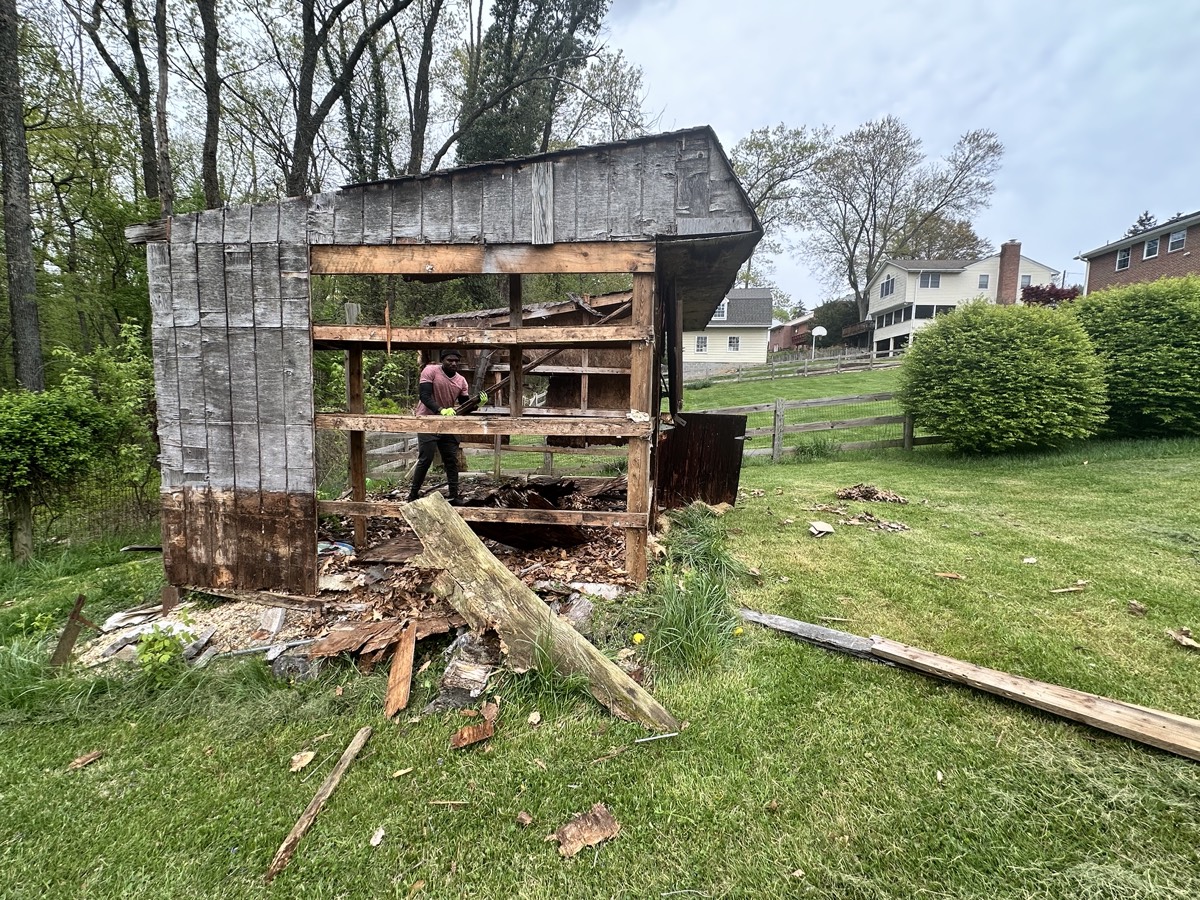 Junk removal project