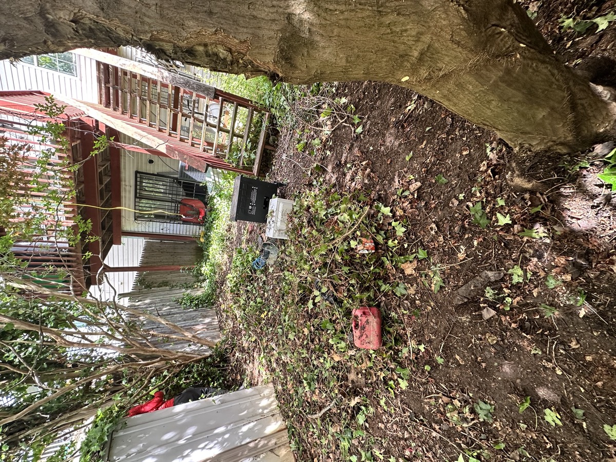 Land clearing project
