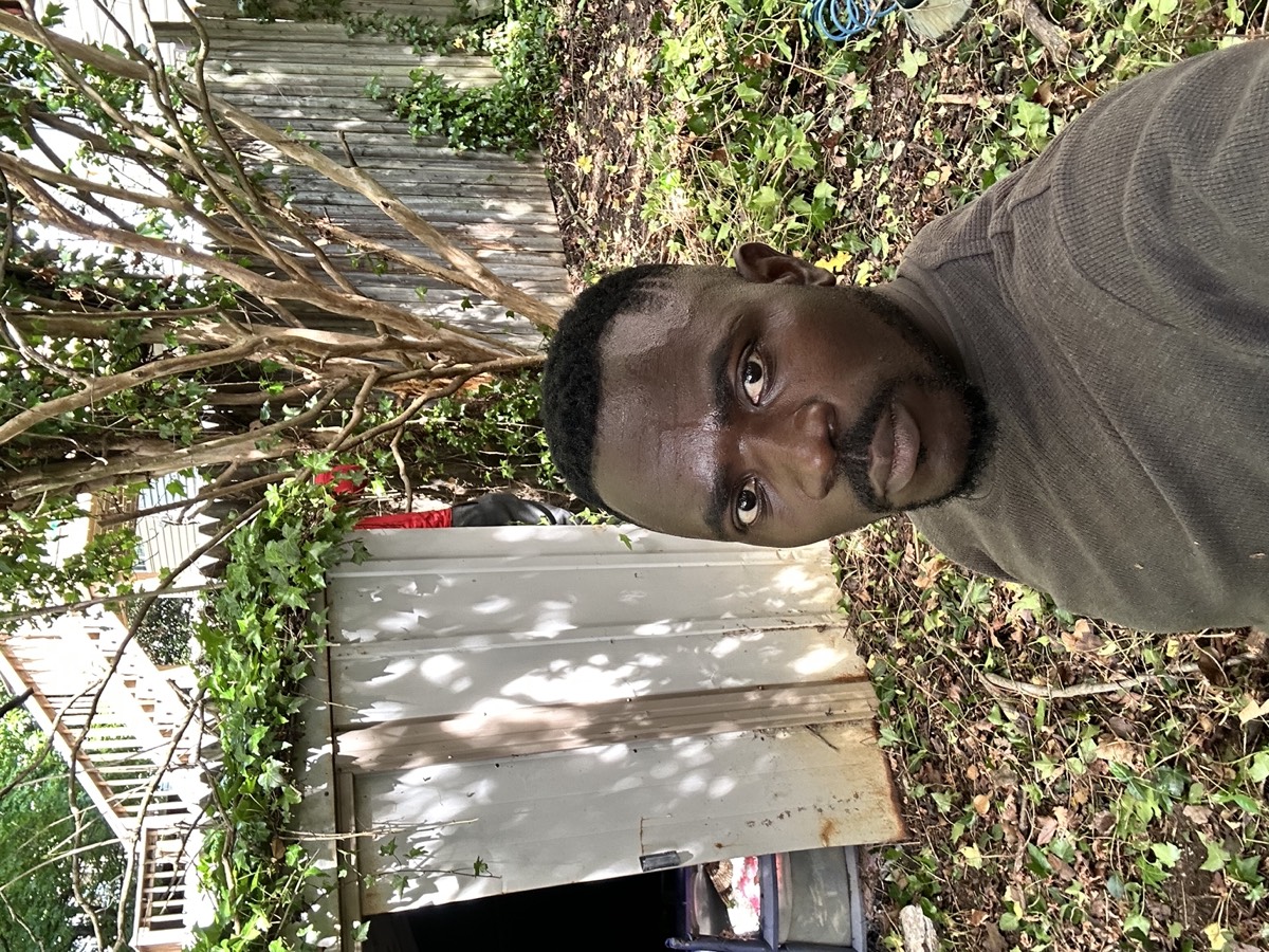 Land clearing project