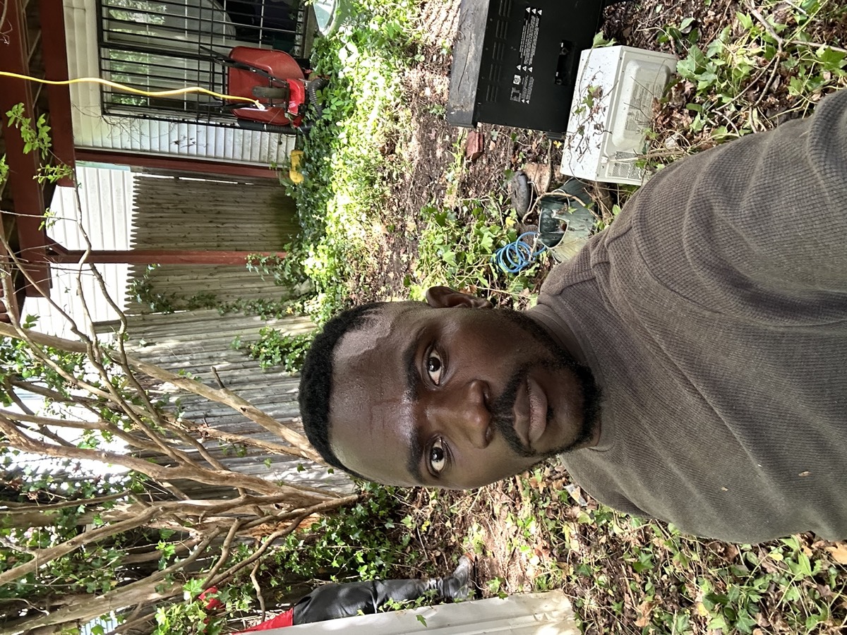 Land clearing project